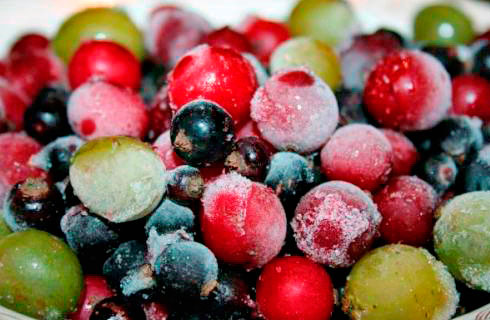 Замораживание овощей и фруктов