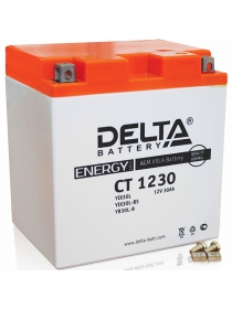 Аккумуляторная батарея DELTA CT 1230